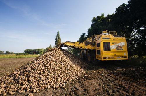 Zemědělské služby