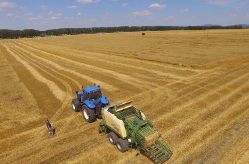 balíkovač - pro naše zákazníky zajišťujeme výsev i sklizeň hospodářských plodin.